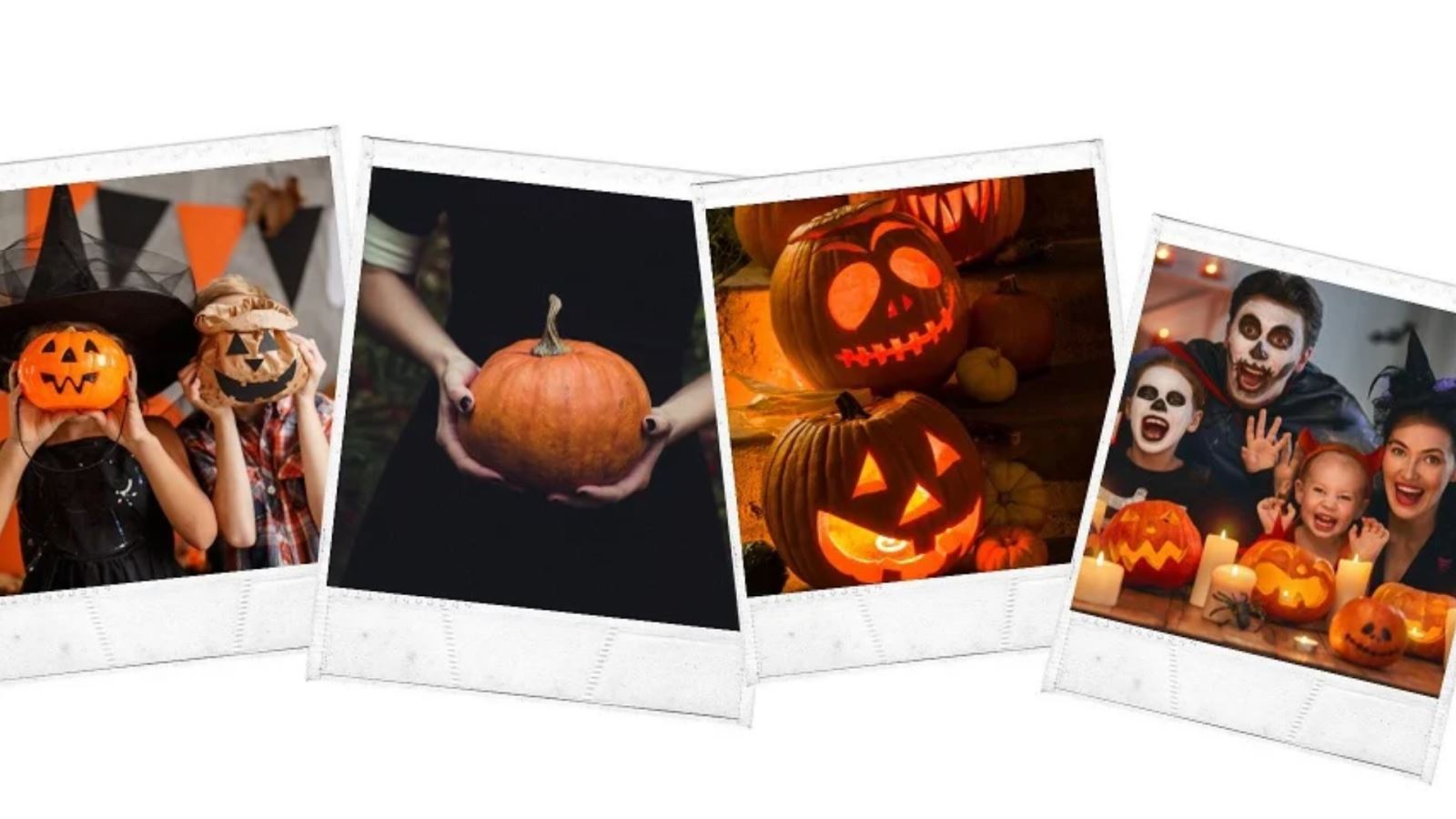 Halloween at Montalto Estate, Ballynahinch