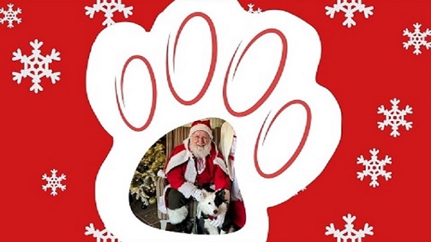 Santa Paws at Montalto Estate, Ballynahinch