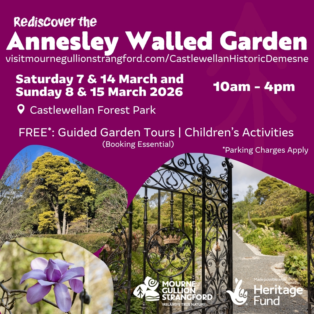 Annesley Walled Garden invitation