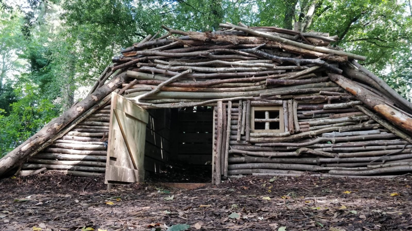 Beaver's House