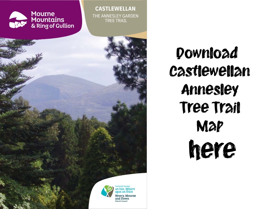 Download the Castlewellan Annesley Garden Tree Trail here